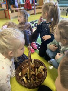Dzieci oglądają jadalne grzyby w wiklinowym koszyku. Sprawdzają jak pachną grzyby. 